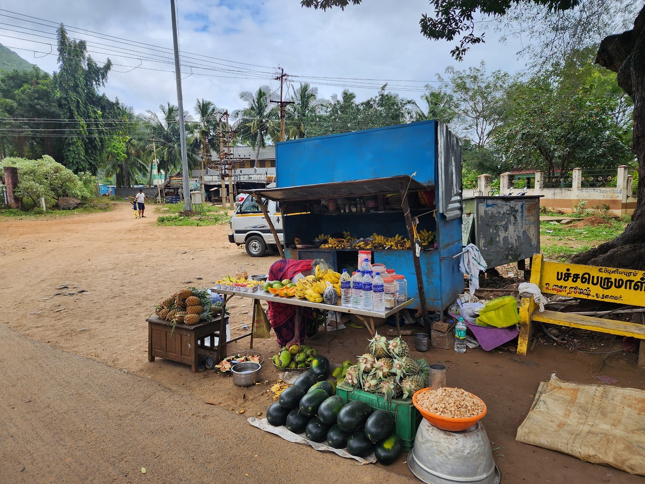 Puliancholai-Kolli hills-TN