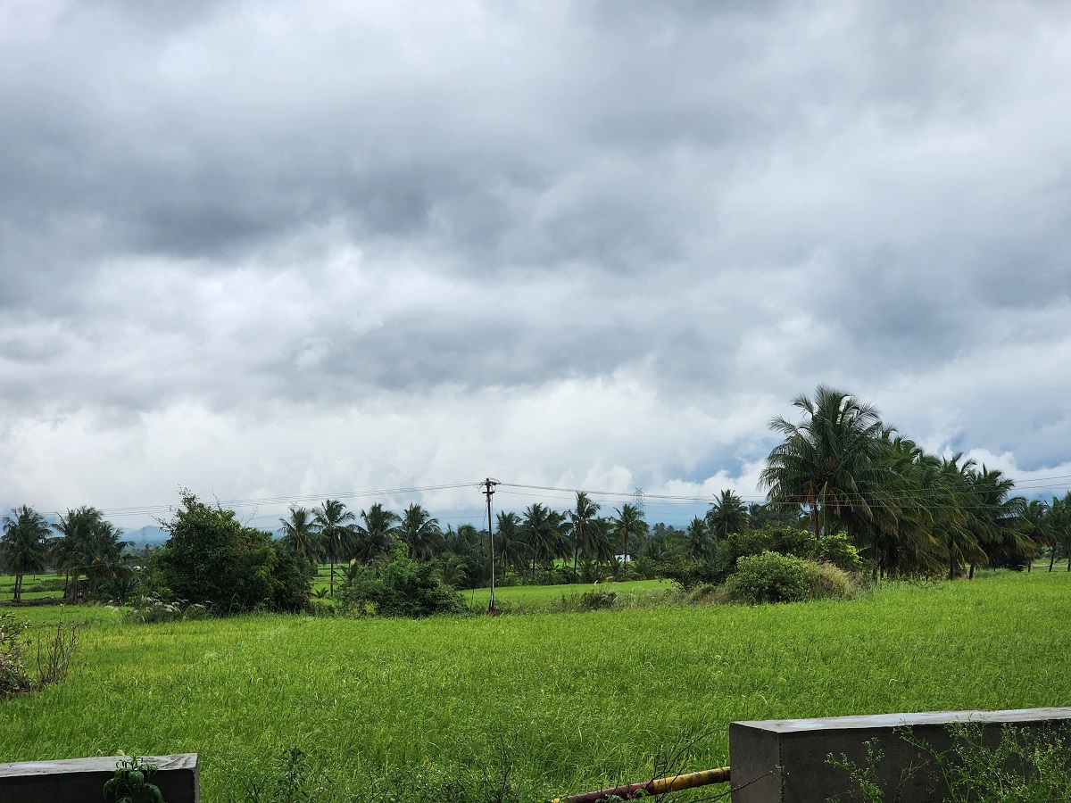 Puliancholai-Kolli hills-Tamil Nadu4
