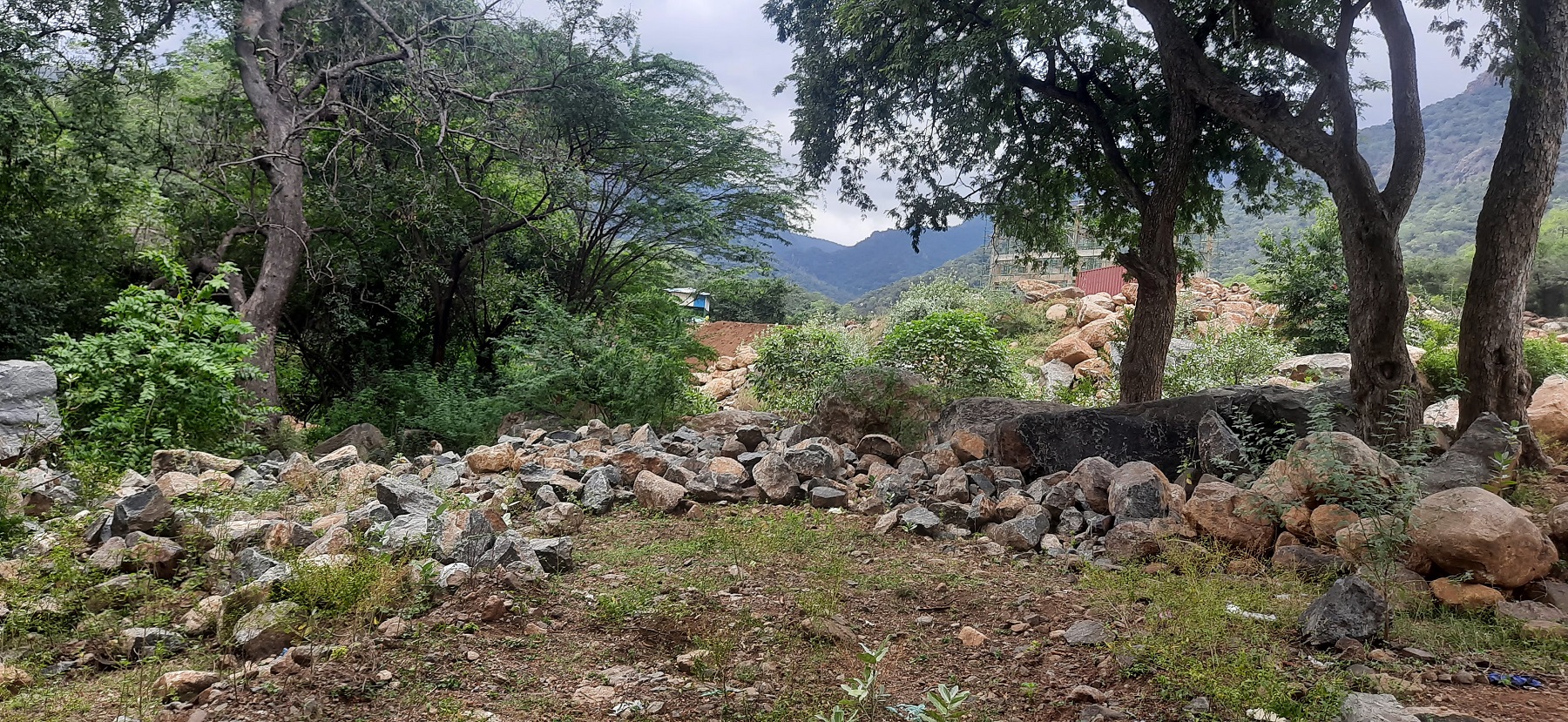 Puliancholai-Kolli hills-inside