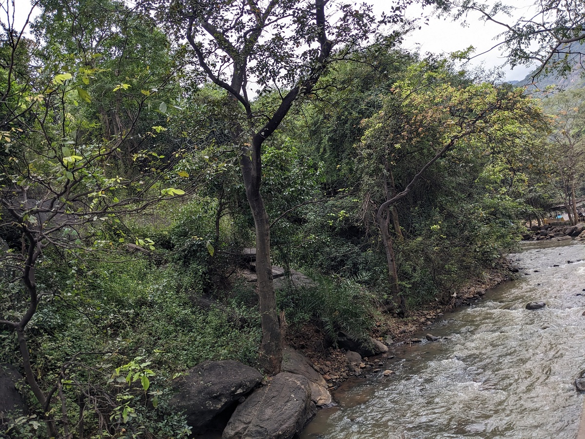 Puliancholai-Kolli hills-water flow