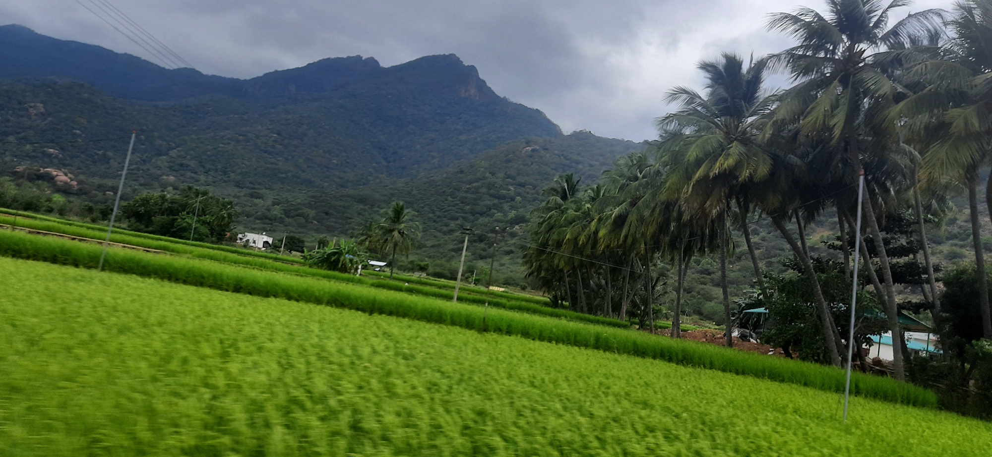 Puliancholai Photo