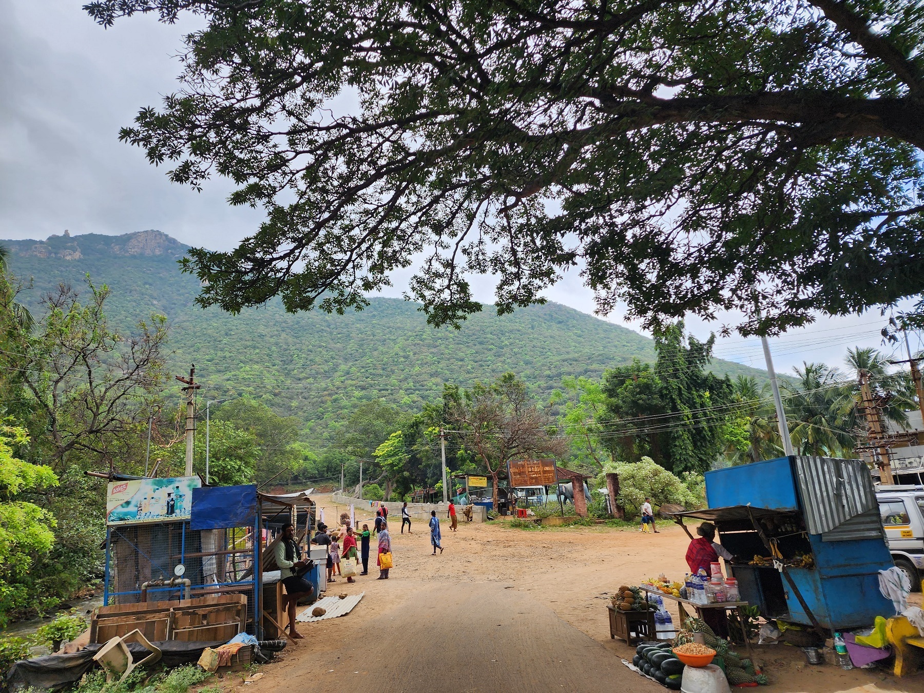 Tea Shops-Mango-Pineapple at Puliancholai-Kolli hills-Tamil Nadu