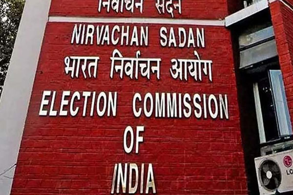 Phase 6 Elections